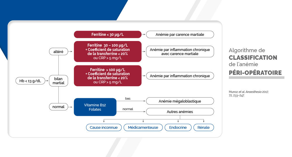 Algorithme péri-opératoire